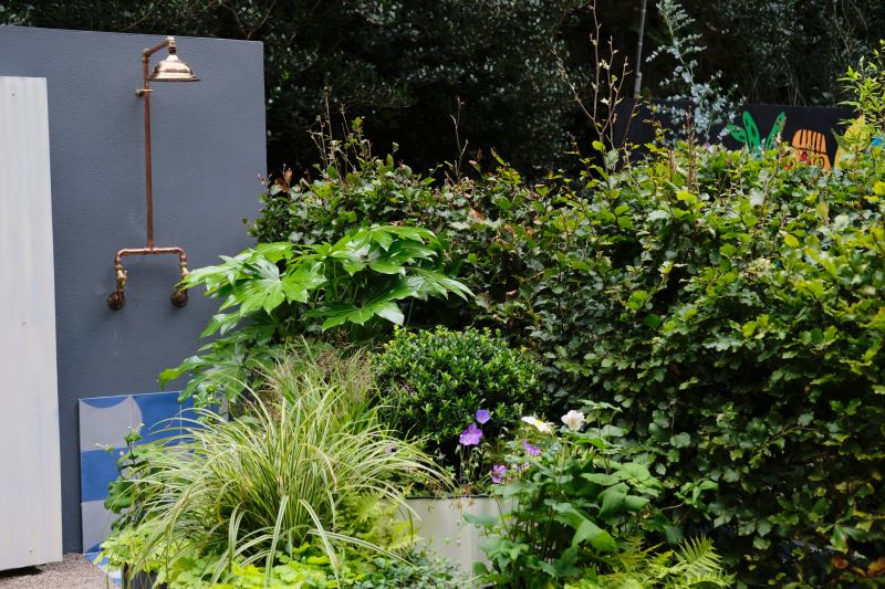 Emergency Plumbing Services